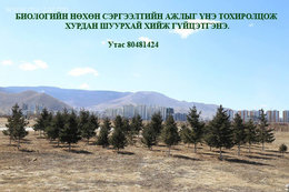 Биологийн нөхөн сэргээлтийн ажлыг үнэ тохирч хийж гүйцэтгэнэ. Биологийн нөхөн сэргээлтийн ажлыг үнэ тохирч хийж гүйцэтгэнэ.